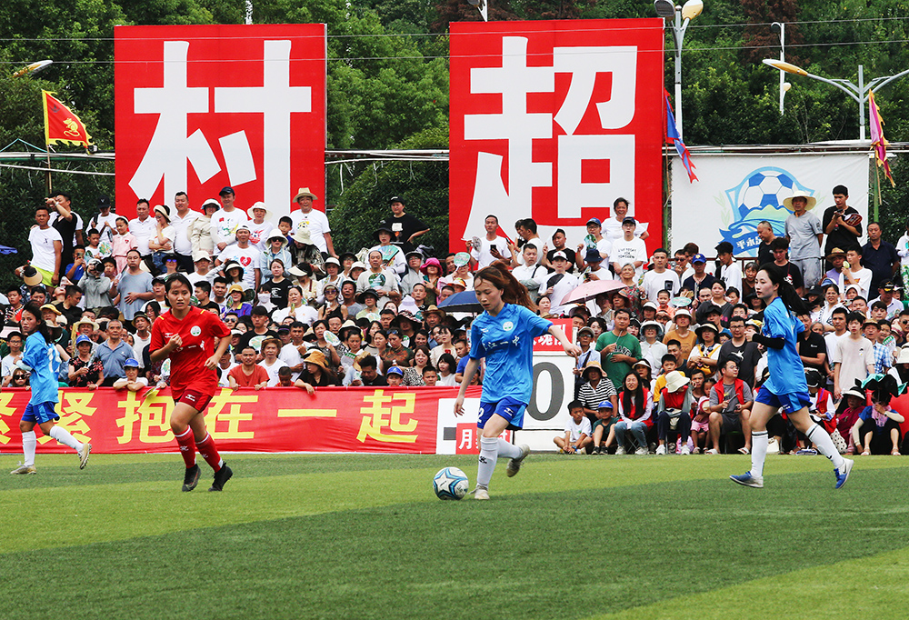 会的指导 会的指导