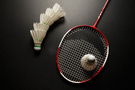 乒坛的新领 乒坛的新领